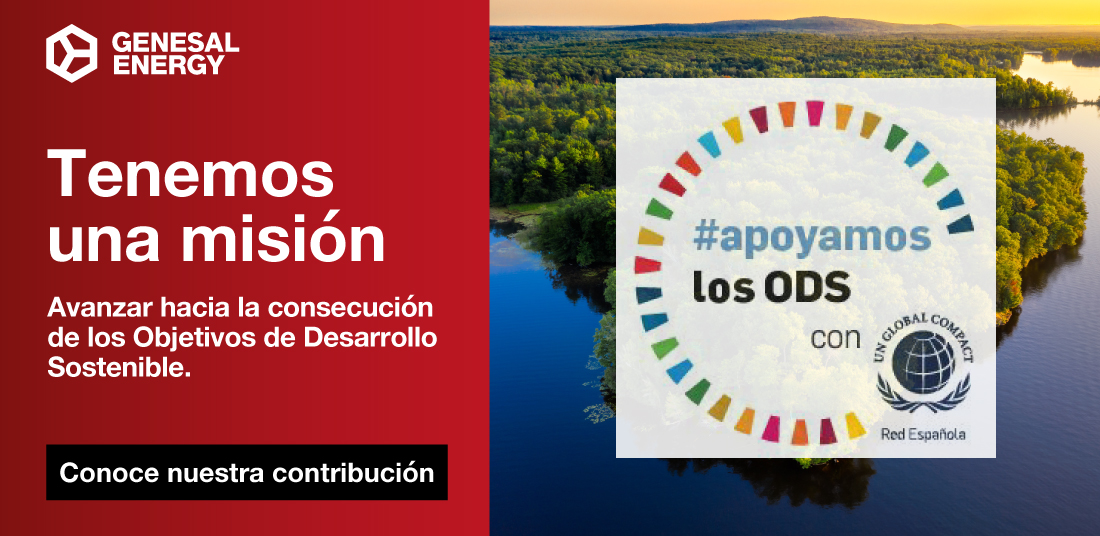 Agenda 2030 ODS